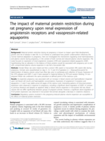 The impact of maternal protein restriction during rat pregnancy upon renal expression of angiotensin receptors and vasopressin-related aquaporins.