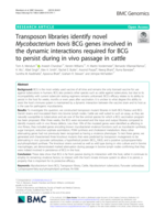 Transposon libraries identify novel Mycobacterium bovis BCG genes involved in the dynamic interactions required for BCG to persist during in vivo passage in cattle