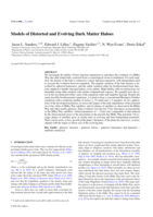 Models of distorted and evolving dark matter haloes