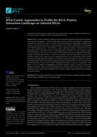 RNA-Centric Approaches to Profile the RNA–Protein Interaction Landscape on Selected RNAs