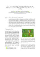 A New Approach Combining Trained Single-view Networks with Multi-view Constraints for Robust Multi-view Object Detection and Labelling