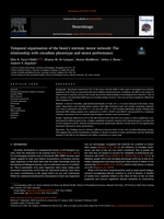 Temporal organisation of the brain's intrinsic motor network: The relationship with circadian phenotype and motor performance