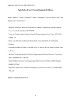 Spin echo from erbium implanted silicon