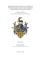 Quantum dynamics of heavy-ion collisions at Coulomb energies using the time-dependent coupled-channel wave-packet method