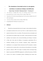 The stimulation of microbial activity by microplastic contributes to membrane fouling in ultrafiltration