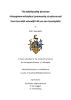 The Relationship between rhizosphere microbial community structure and function with wheat (Triticum aestivum) yield