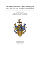 The Small Magellanic Cloud: showing the scars of a survivor of galactic cannibalism