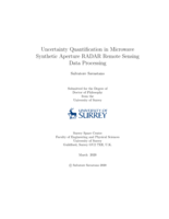Uncertainty Quantification in Microwave Synthetic Aperture RADAR Remote Sensing Data Processing