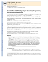 Essential Role of DAP12 Signaling in Macrophage Programming into a Fusion-Competent State