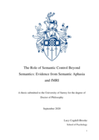 The Role of Semantic Control Beyond Semantics: Evidence from Semantic Aphasia and fMRI