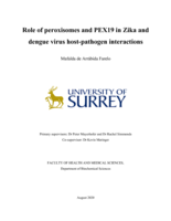 Role of peroxisomes and PEX19 in Zika and Dengue virus host-pathogen interactions