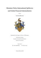 Monetary Policy International Spillovers and Global Financial Intermediaries