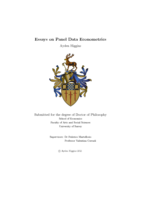 Essays on Panel Data Econometrics