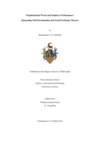 Organisational Wasta and Employee Performance: Integrating Self-Determination and Social Exchange Theories
