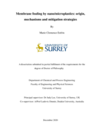 Membrane fouling by nano/microplastics: origin, mechanisms and mitigation strategies