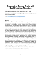 Closing the Carbon Cycle with Dual Function Materials