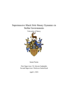 Supermassive Black Hole Binary Dynamics in Stellar Environments