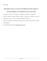 Epicardial slices: an innovative 3D organotypic model to study epicardial cell physiology and activation