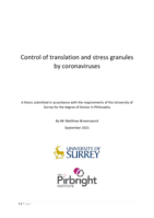 Control of translation and stress granules  by coronaviruses