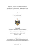 Flexible Electricity Generation from Anaerobic Digestion of Sewage Sludge