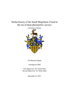 Stellar history of the Small Magellanic Cloud in the era of deep photometric surveys