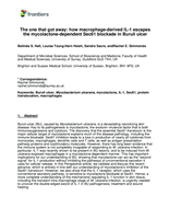The One That Got Away: How Macrophage-Derived IL-1ß Escapes the Mycolactone-Dependent Sec61 Blockade in Buruli Ulcer