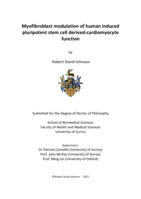 Myofibroblast modulation of human induced pluripotent stem cell derived-cardiomyocyte function