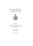 Noisy Web Supervision for Audio Classification