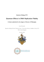 Quantum Effects in DNA Replication Fidelity
