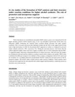 In situ studies of the formation of MoP catalysts and their structure under reaction conditions for higher alcohol synthesis: The role of promoters and mesoporous supports