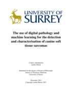 The use of digital pathology and machine learning for the detection and characterisation of canine soft tissue sarcomas