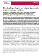 Disentangling water, ion and polymer dynamics in an anion exchange membrane