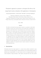 Parametric approach to promote a divergence-free flow in the image-based motion estimation with application to bioirrigation