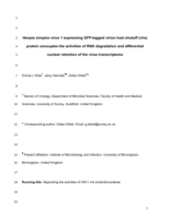 Herpes simplex virus 1 expressing GFP-tagged virion host shutoff (vhs) protein uncouples the activities of degradation and nuclear retention of the infected cell transcriptome