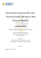 Uncovering ultradian rhythms: transcriptional, metabolic and cellular aspects