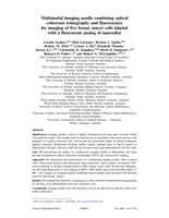 Multimodal imaging needle combining optical coherence tomography and fluorescence for imaging of live breast cancer cells labeled with a fluorescent analog of tamoxifen