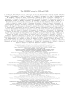 The DESPEC setup for GSI and FAIR