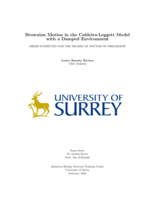 Brownian Motion in the Caldeira-Leggett Model with a Damped Environment