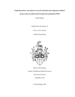 Exploring mothers’ perceptions of a psycho-education and compassion resilience group as part of a phase-based treatment for postpartum PTSD