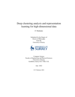 Deep clustering analysis and representation learning for high-dimensional data