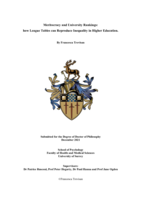 Meritocracy and University Rankings: how League Tables can Reproduce Inequality in Higher Education