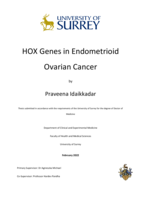 HOX Genes in Endometrioid Ovarian Cancer