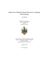 Multi-View Multiple People Detection, Labelling and Tracking
