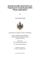 Engineering Microbial Strains for Polyethylene Terephthalate (PET) Plastic Degradation