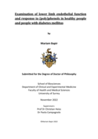 Examination of lower limb endothelial function and response to (poly)phenols in healthy people and people with diabetes mellitus