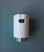 Radiator thermostatic control