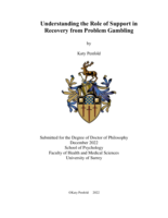 Understanding the Role of Support in Recovery from Problem Gambling