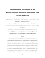 Tautomerisation Mechanisms in the Adenine-Thymine Nucleobase Pair during DNA Strand Separation