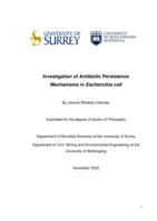 Investigation of antibiotic persistence mechanisms in Escherichia coli
