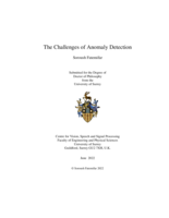 The Challenges of Anomaly Detection